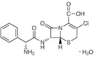 Cefaclor Monohydrate