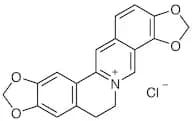 Coptisine Chloride