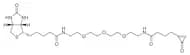 CPO-PEG3-Biotin