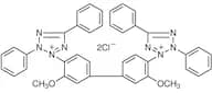 Blue Tetrazolium