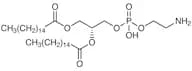 1,2-Dipalmitoyl-sn-glycero-3-phosphoethanolamine