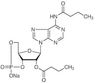 Bucladesine Sodium Salt