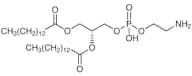 1,2-Dimyristoyl-sn-glycero-3-phosphoethanolamine