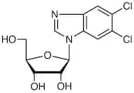 5,6-Dichlorobenzimidazole 1-β-D-Ribofuranoside
