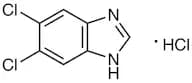 5,6-Dichlorobenzimidazole Hydrochloride