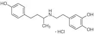 Dobutamine Hydrochloride