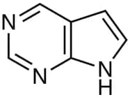 7-Deazapurine