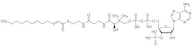 2-trans-Dodecenoyl-Co A
