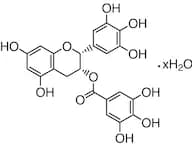 (-)-Epigallocatechin Gallate Hydrate