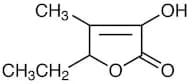 5-Ethyl-3-hydroxy-4-methyl-2(5H)-furanone