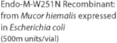 Endo-M-W251N Recombinant: from Mucor hiemalis expressed in Escherichia coli (500m units/vial)