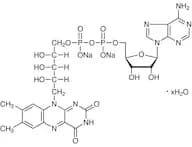 Flavin Adenine Dinucleotide Disodium Salt