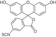 Fluorescein 5-Isothiocyanate (isomer I)