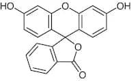 Fluorescein