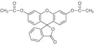 Fluorescein Diacetate
