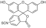 Fluorescein Isothiocyanate (mixture of 5- and 6- isomers)