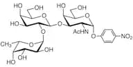 Fucα(1-2)Galβ(1-3)GalNAc-α-pNP (=H type 3 α-pNP Glycoside)