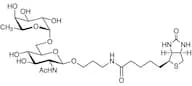 Fucα(1-6)GlcNAc-β-propylamido-biotin