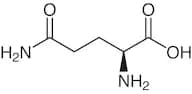 L-Glutamine