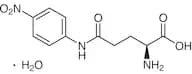 L-γ-Glutamyl-p-nitroanilide Monohydrate