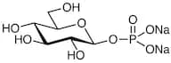 β-D-Glucopyranose 1-Phosphate Disodium Salt