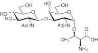 GlcNAcβ(1-3)GalNAc-α-Thr