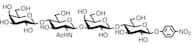 Galβ(1-4)GlcNAcβ(1-3)Galβ(1-4)Glc-β-pNP