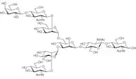 6-G1 Glycan