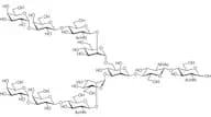 Galα(1-3) N-Glycan