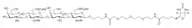 Galβ(1-3)GlcNAc[6S]β(1-3)Galβ(1-3)GlcNAc[6S]-β-PEG3-biotin
