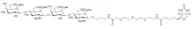 L4-L4-β-PEG3-biotin
