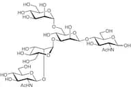 GlcNAcβ(1-2)Manα(1-3)[Manα(1-6)]Manβ(1-4)GlcNAc-OH