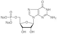Guanosine 5'-Monophosphate Disodium Salt