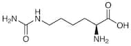 L-Homocitrulline