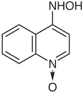 4-(Hydroxyamino)quinoline N-Oxide