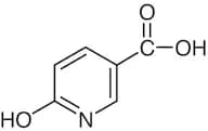 6-Hydroxynicotinic Acid
