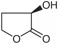(R)-(+)-α-Hydroxy-γ-butyrolactone
