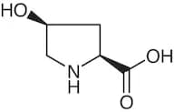 cis-4-Hydroxy-L-proline