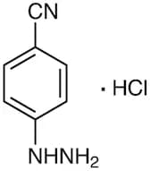 4-Hydrazinobenzonitrile Hydrochloride