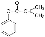 Phenyl Isobutyrate