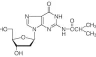 N2-Isobutyryl-2'-deoxyguanosine