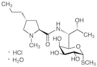 Lincomycin Hydrochloride Monohydrate