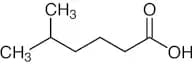 5-Methylhexanoic Acid