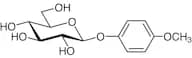 4-Methoxyphenyl β-D-Glucopyranoside