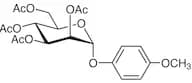 4-Methoxyphenyl 2,3,4,6-Tetra-O-acetyl-α-D-mannopyranoside