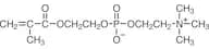 2-(Methacryloyloxy)ethyl 2-(Trimethylammonio)ethyl Phosphate