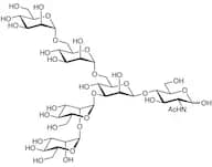 Manα(1-2)Manα(1-3)[Manα(1-6)Manα(1-6)]Manβ(1-4)GlcNAc