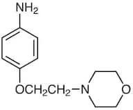 4-(2-Morpholinoethoxy)aniline