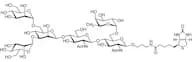 M3(Fuc6)-biotin