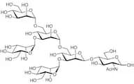 M5 Glycan (GN1 type)